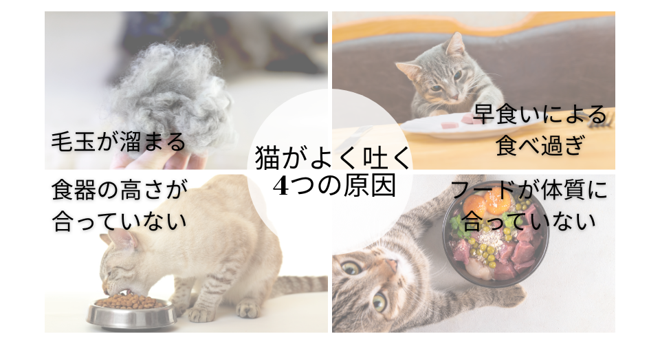 猫がよく吐く4つの原因